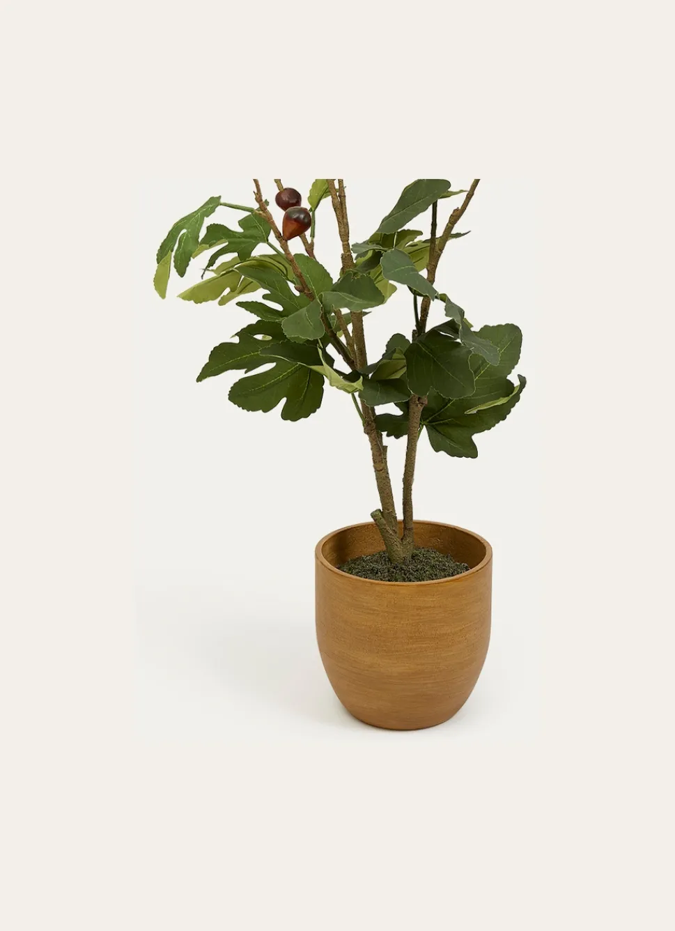 Discount Bouchara ARBUSTE DANS POT EFFET USÉ BEIGE/VERT/FIGUE