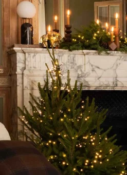 Hot Bouchara CHAMPIGNON LUMINEUX AMBRE