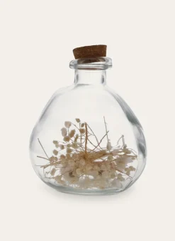 Bouchara GRANDE BOUTEILLE EN VERRE AVEC FLEURS SÉCHÉES TRANSPARENT