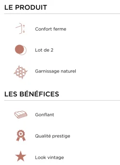 Online Bouchara LOT DE 2 OREILLERS CARRÉS EN PLUMETTES BLANC