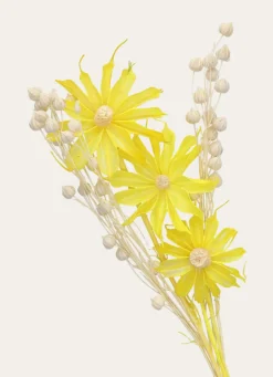 New Bouchara MINI FLEURS SÉCHÉES JAUNE