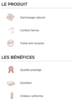 New Bouchara OREILLER CARRÉ NATUREL FERME ANTI-ACARIENS BLANC