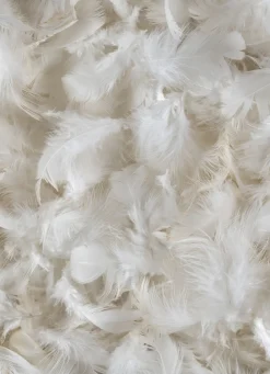 New Bouchara OREILLER CARRÉ NATUREL FERME ANTI-ACARIENS BLANC