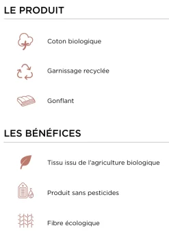 Discount Bouchara OREILLER RECTANGULAIRE MOELLEUX EN COTON BIO BLANC