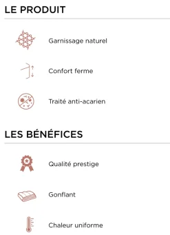 Outlet Bouchara OREILLER RECTANGULAIRE NATUREL FERME ANTI-ACARIENS BLANC