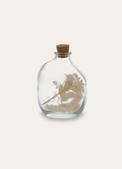 Hot Bouchara PETITE BOUTEILLE EN VERRE AVEC FLEURS SÉCHÉES TRANSPARENT