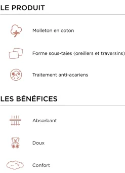 Clearance Bouchara SOUS-TAIE DE TRAVERSIN EN COTON 220GR BLANC